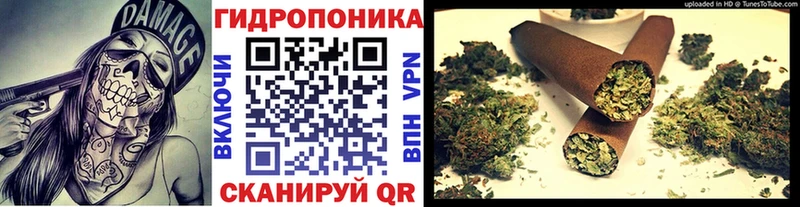 Виды наркотиков купить Еманжелинск Галлюциногенные грибы  COCAIN  МЕФ  Канабис 