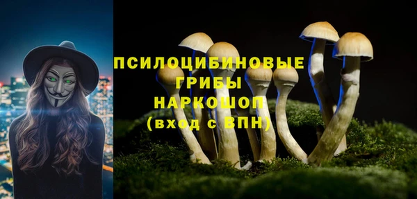 трава Майский