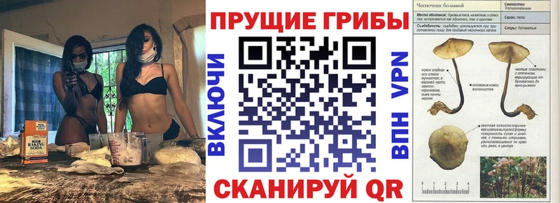 Псилоцибиновые грибы ЛСД Еманжелинск