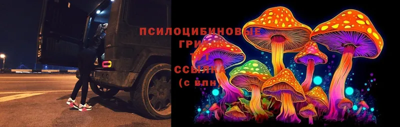 где купить наркоту  Еманжелинск  это клад  Псилоцибиновые грибы MAGIC MUSHROOMS 